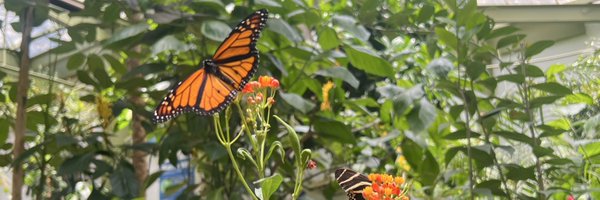 aleozimok Profile Banner