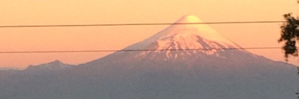 FelizSenora's profile banner image