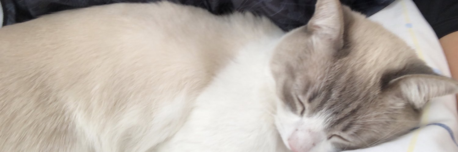 mjpl_11's profile banner image