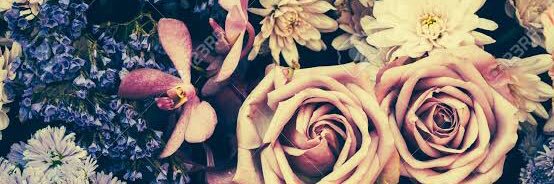 _lizaaleman's profile banner image