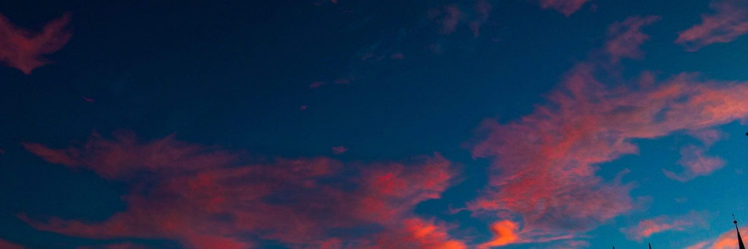 carohdez's profile banner image