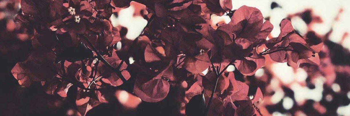 zeynepmuratt's profile banner image