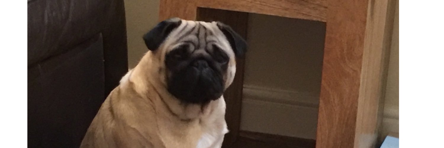 Lashezz41's profile banner image