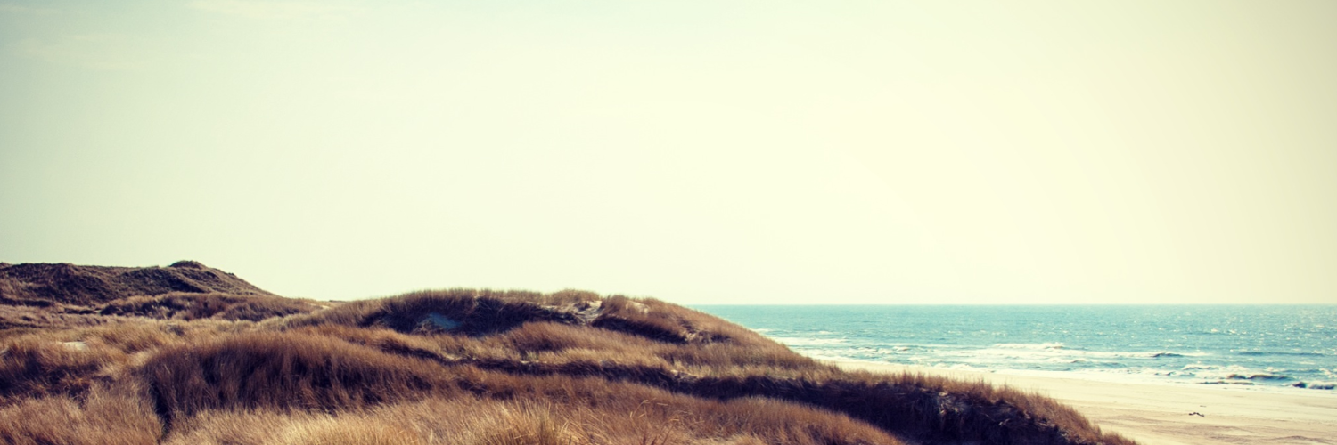 itsdake's profile banner image
