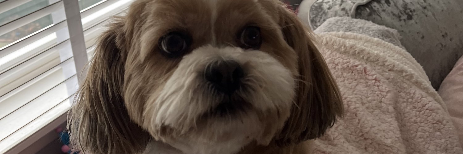 ElizabethStir_'s profile banner image