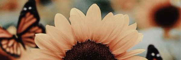 anfultz3 Profile Banner