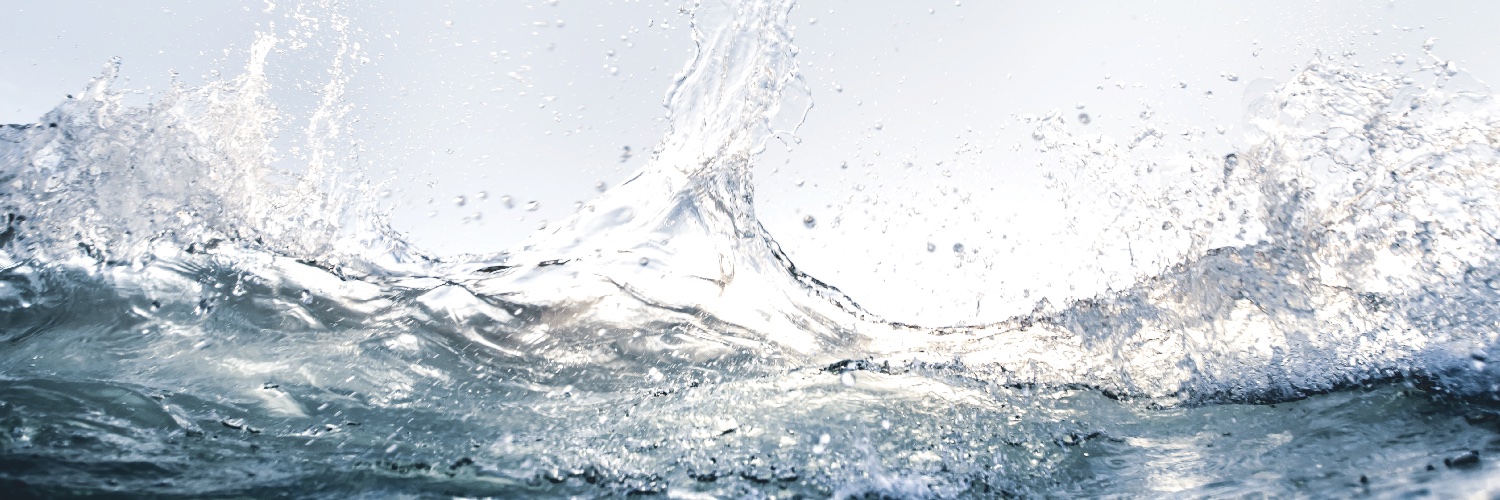 SenateSHJ_NZ's profile banner image