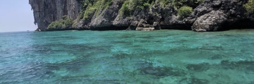 pedrozo banner