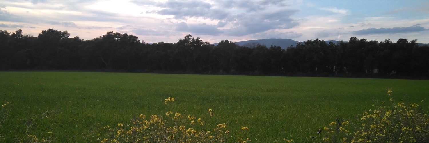 Lorenapm84's profile banner image