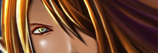 FoxNinjaMaster's profile banner image
