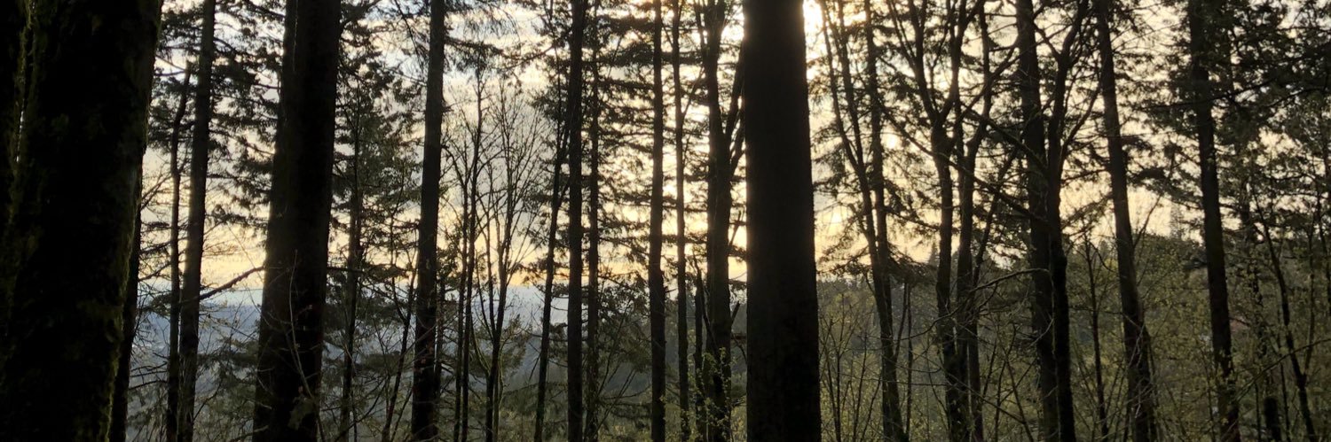 midwestmik's profile banner image