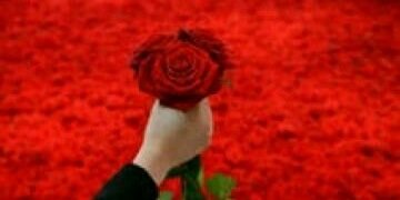 a7tajk44's profile banner image