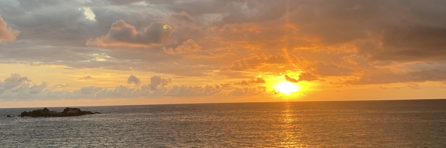 AlexiaJM_'s profile banner image
