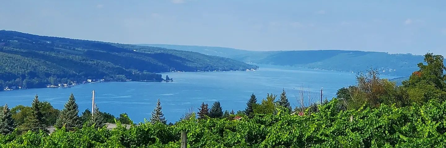 Provennoble100's profile banner image