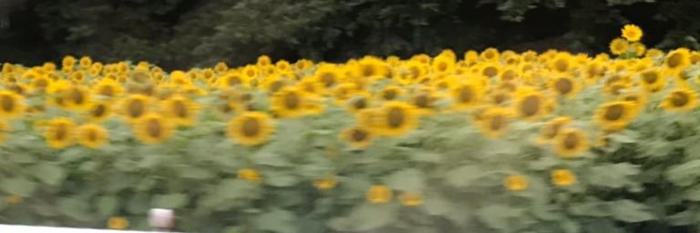 aytackle's profile banner image