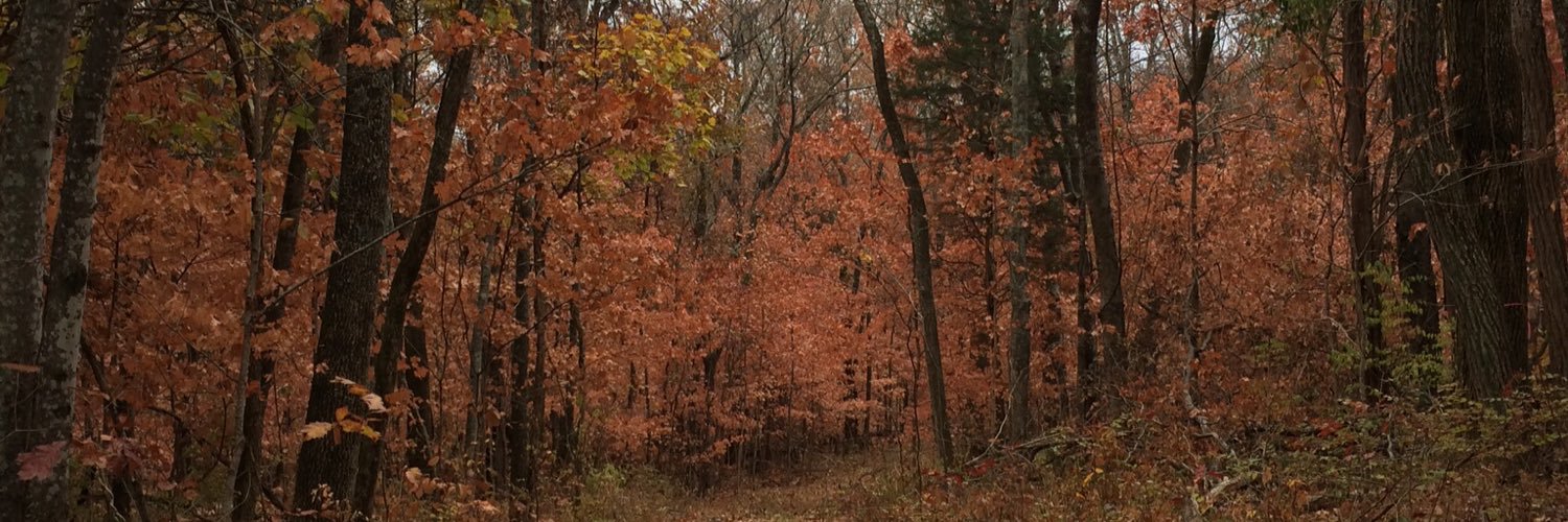 JasonLeftwich's profile banner image