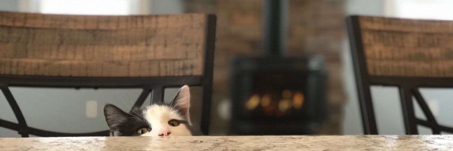 gingisnapp's profile banner image