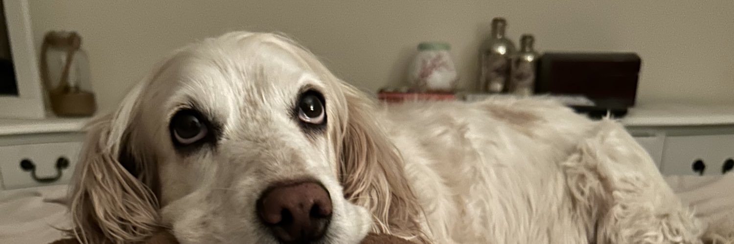 _rebeccamann's profile banner image