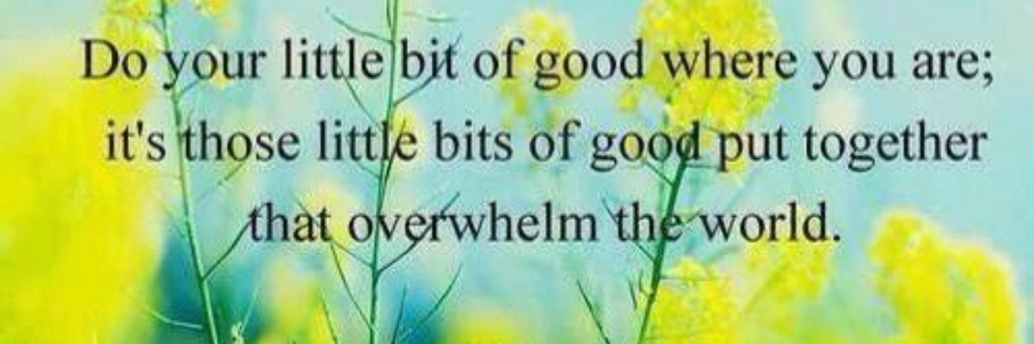 Stephanie Hamilton banner