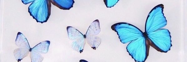 BrieAngellina's profile banner image