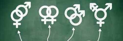 Doctora Sexual banner