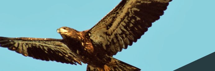 DemirelSerhat's profile banner image
