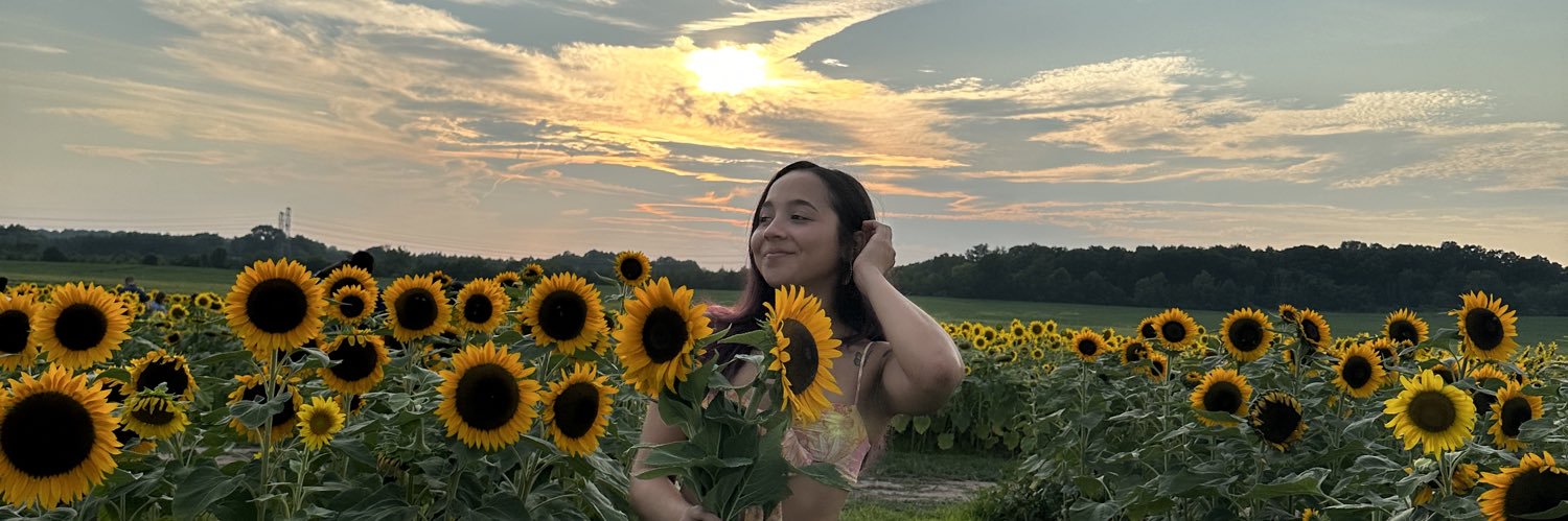 ivanalv4's profile banner image