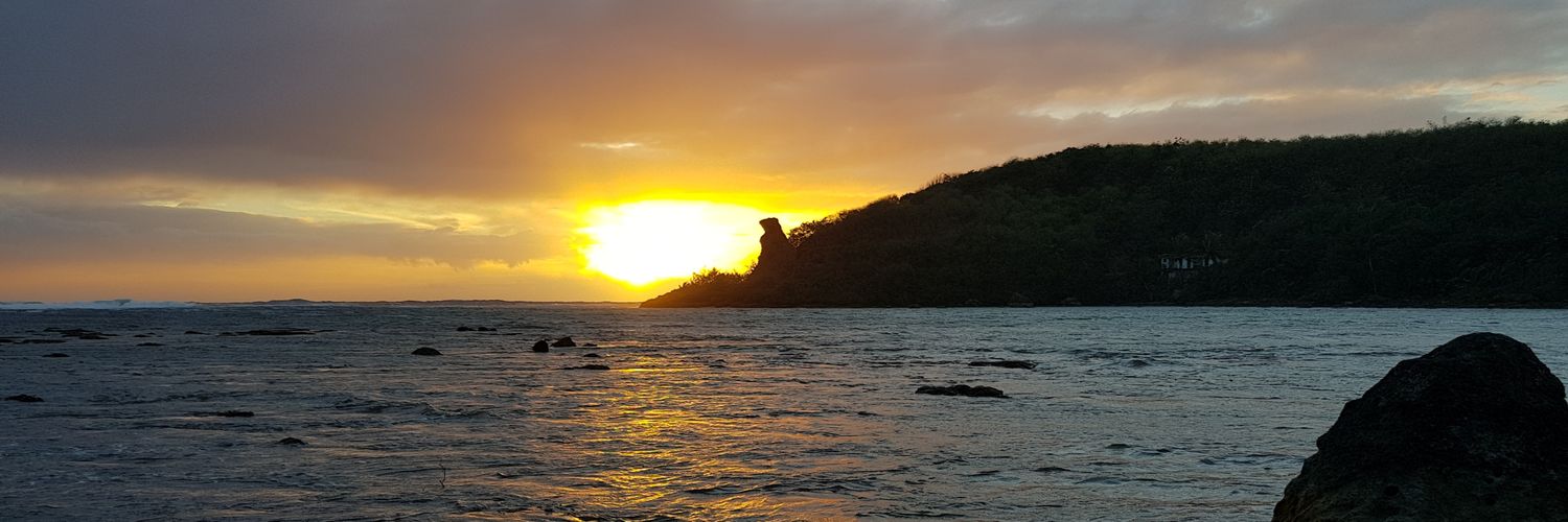 roscopaeste's profile banner image