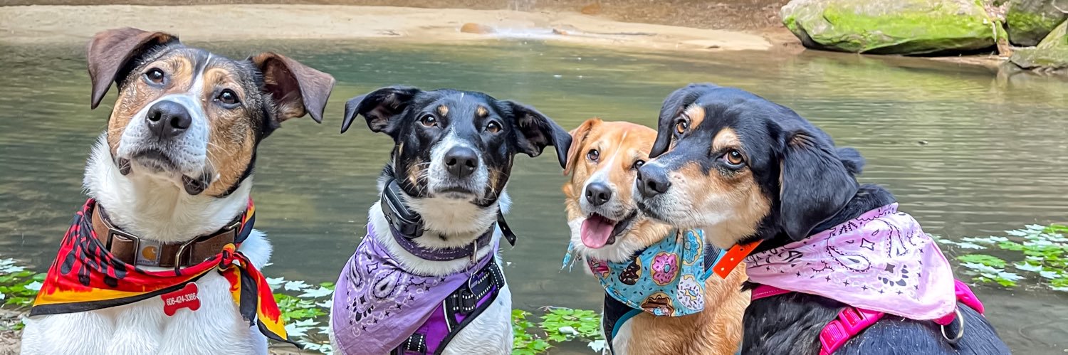 keelylayne1's profile banner image