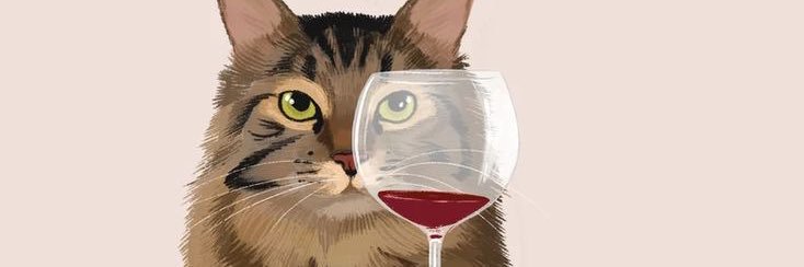 KaattCc's profile banner image