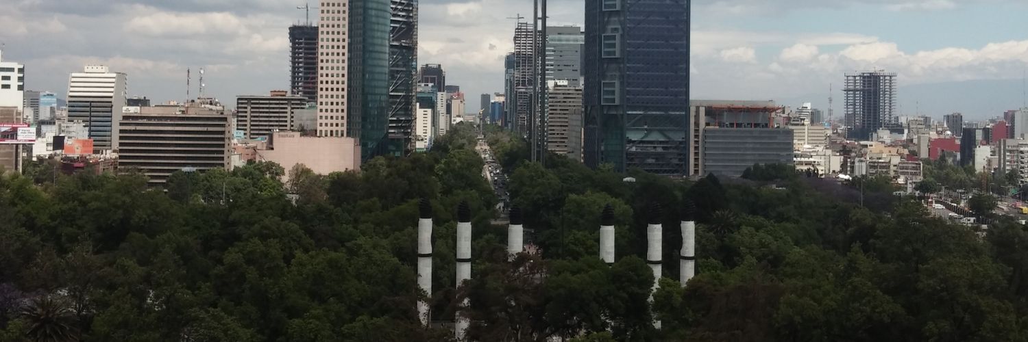Braulio_guzman's profile banner image