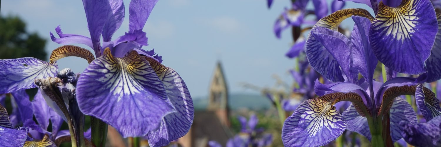 maxfellows123's profile banner image