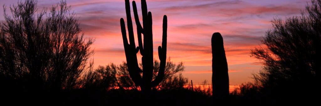 ThePreparedRanch banner