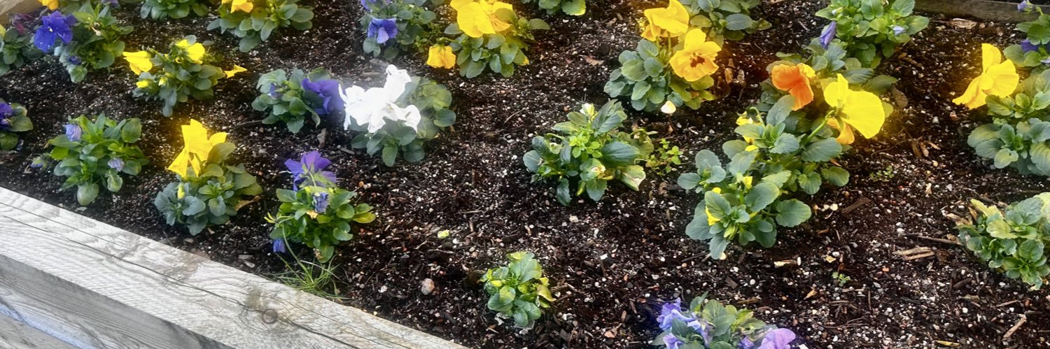 Suzanne McKenna banner