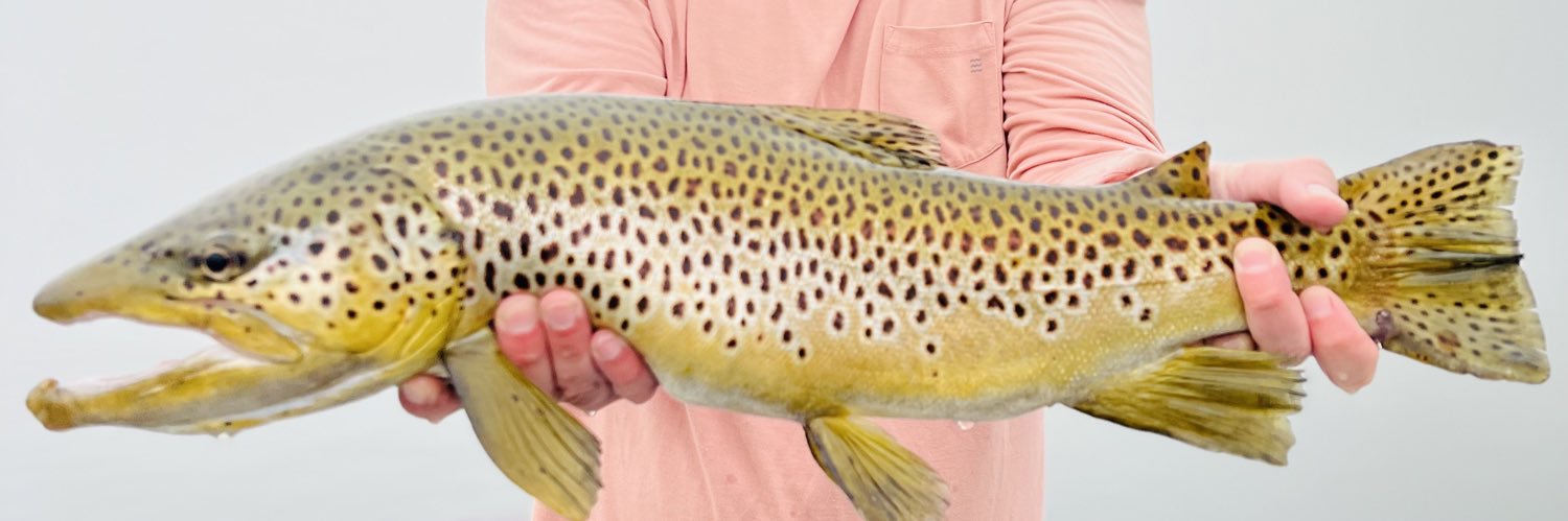 Garwjones's profile banner image