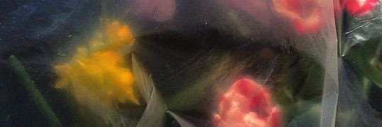 BH0X92's profile banner image