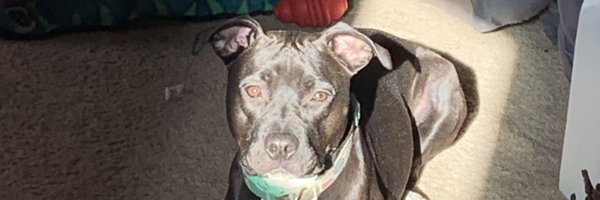 rulerofamerica Profile Banner