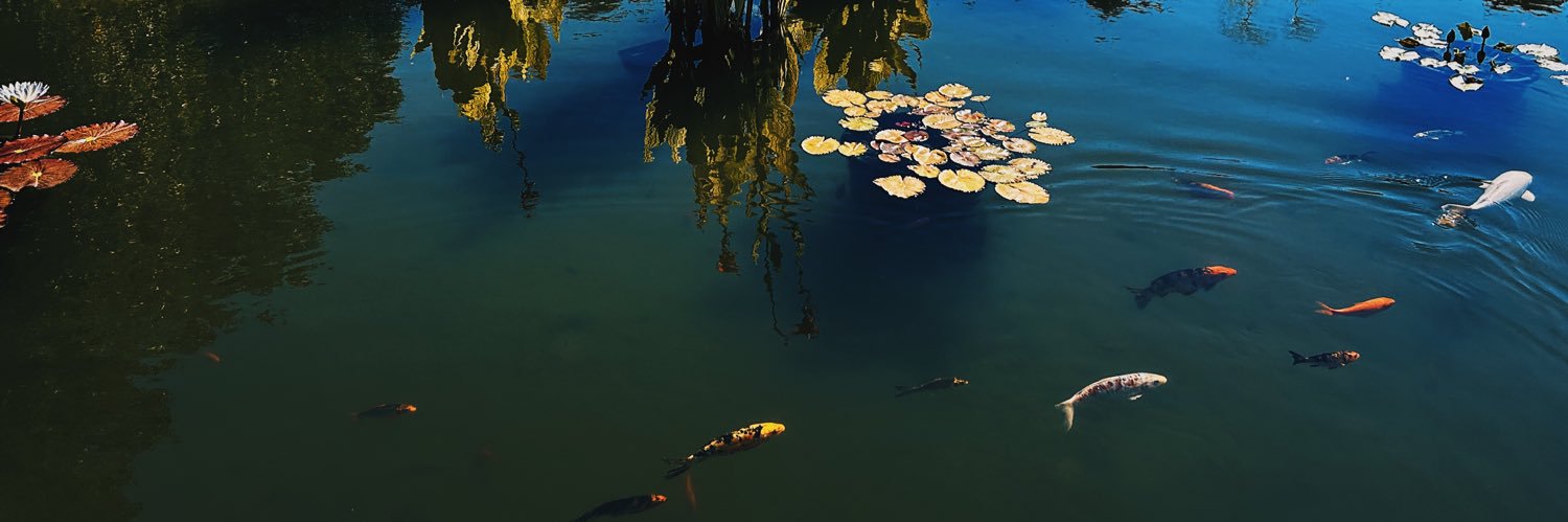 3000fishhours's profile banner image