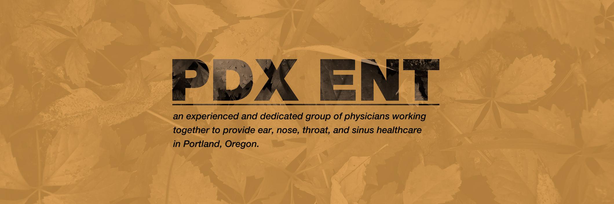 PDXENT's profile banner image