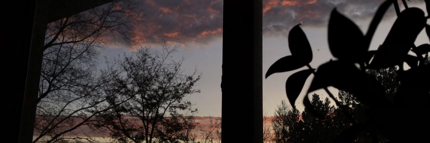 aveeryb's profile banner image