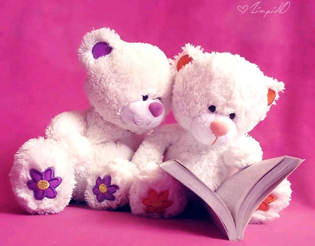 Novia_Kidy's profile banner image