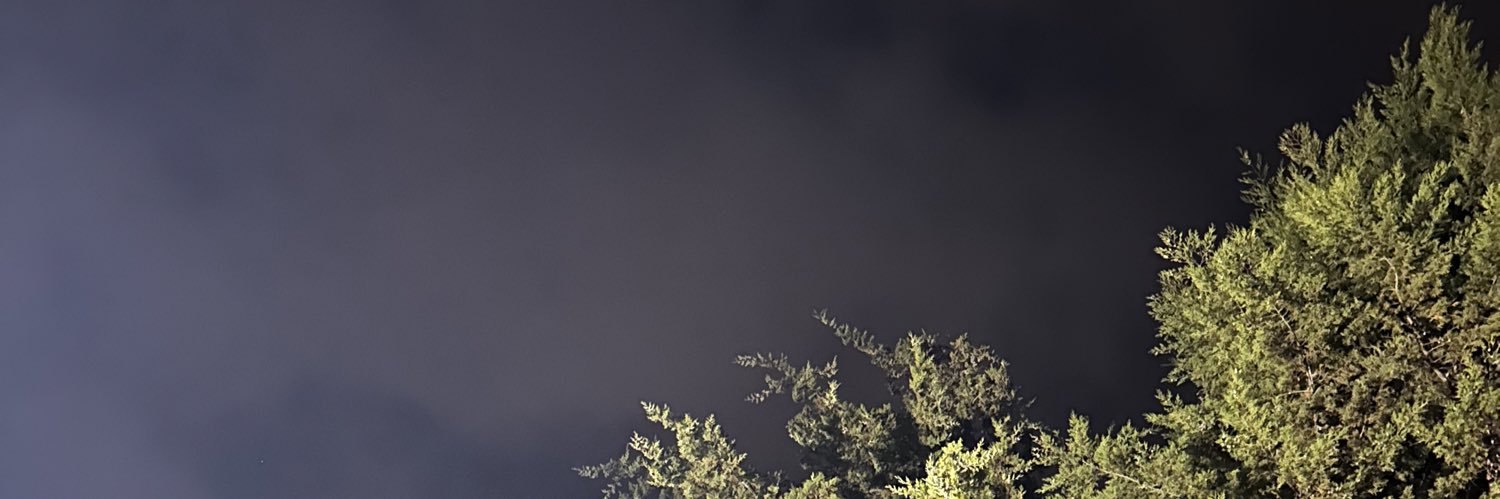 AngyPelaez's profile banner image