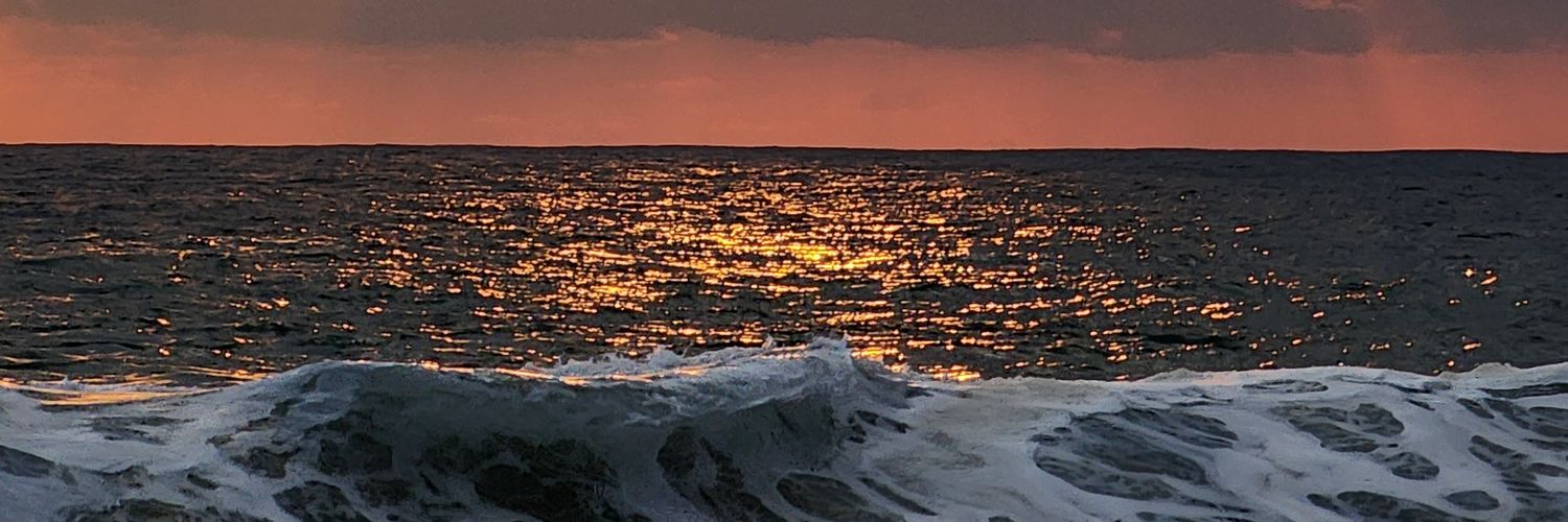 Rodrigo_vzb's profile banner image