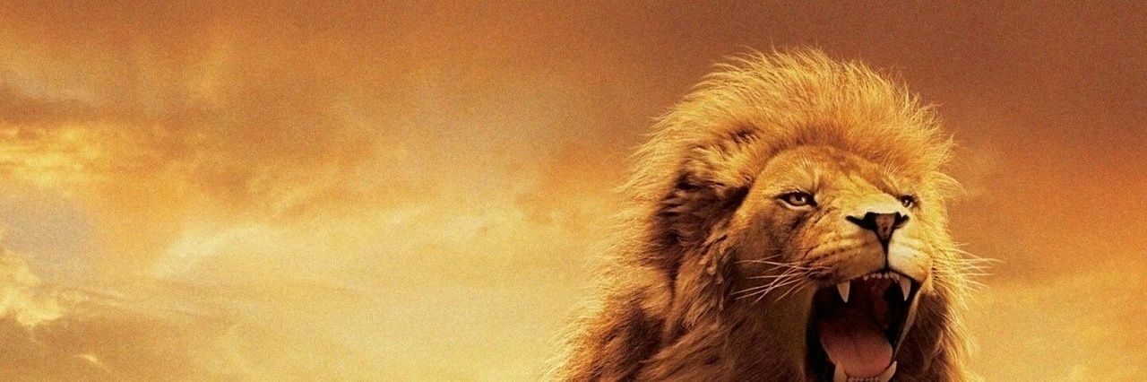 bigdaddy_dave's profile banner image