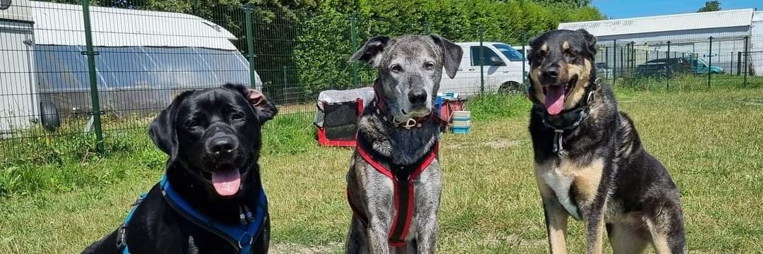 Linda van der Ende banner