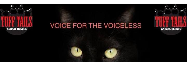 TuffTails's profile banner image