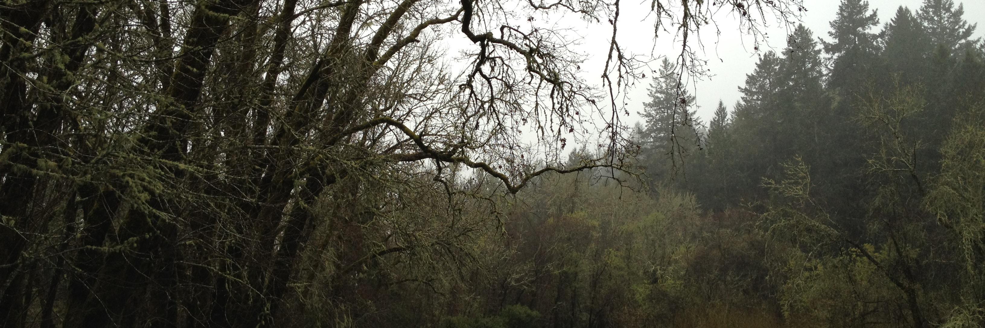 Eric Ziegenhagen banner