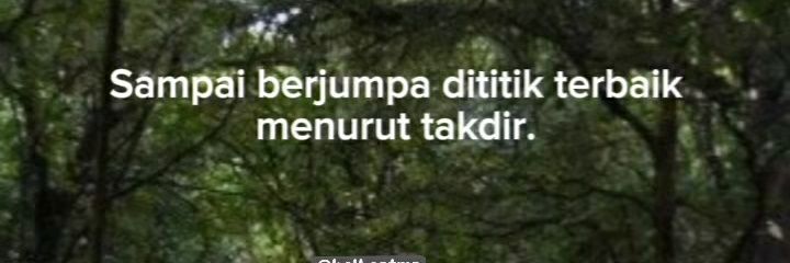 saefDN's profile banner image