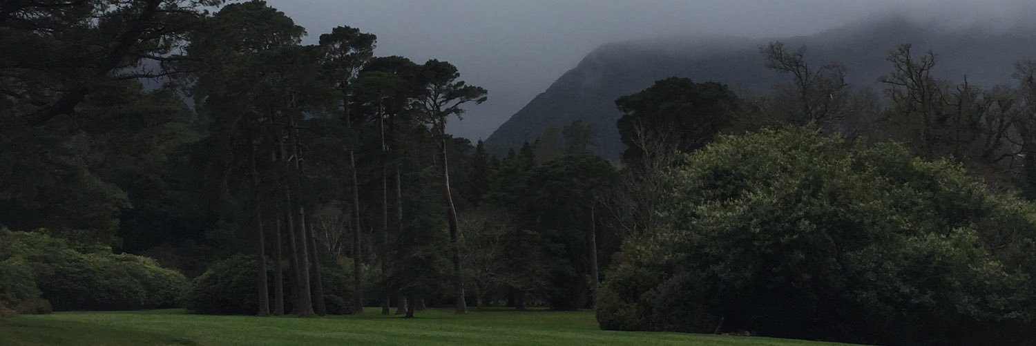carpycore's profile banner image