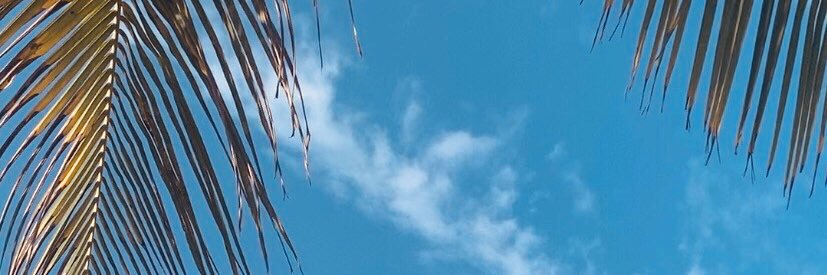 coraal6's profile banner image